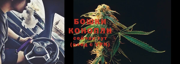мдпв Новодвинск