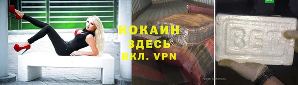гашик Бежецк