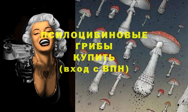 мдпв Новодвинск