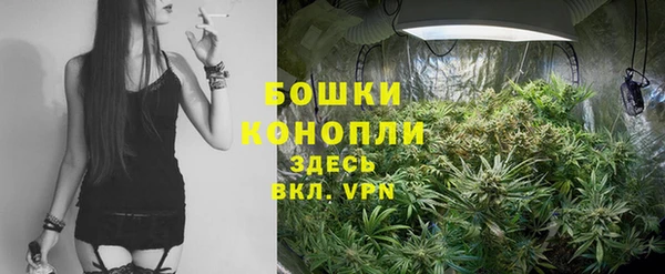 винт Новокубанск