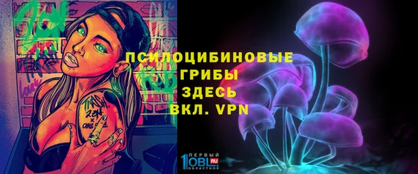 MDMA Новозыбков